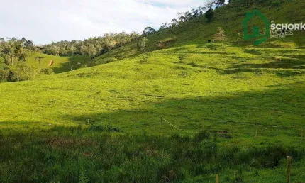 Sítio à venda, 421.021 m² por r$ 550.000 - rio do campo/sc