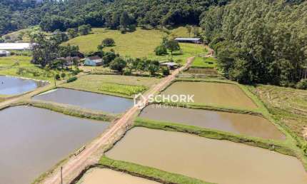 Sítio com 1 dormitório à venda, 90649 m² por R$ 900.000,00 - Rio Morto - Rodeio/SC