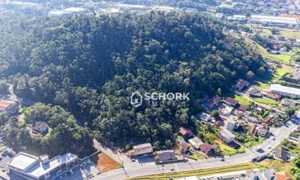 Terreno à venda, 11944 m² por r$ 800.000,00 - itoupavazinha - blumenau/sc