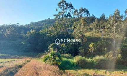 Sítio à venda, 167800 m² por r$ 1.100.000,00 - guaricanas ii - ascurra/sc