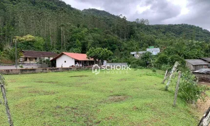Terreno à venda, 1831 m² por R$ 120.000,00 - Ribeirão das Antas - Benedito Novo/SC
