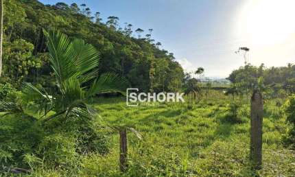 Sítio com 5 dormitórios à venda, 93027 m² por R$ 990.000,00 - Saxônia - Ascurra/SC