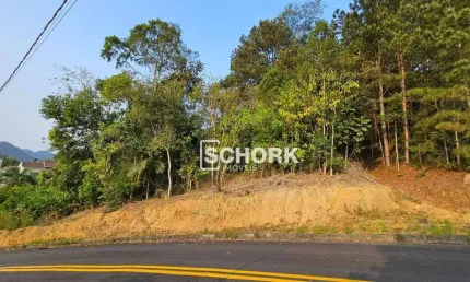 Terreno à venda, 11272 m² por R$ 550.000,00 - Centro - Pomerode/SC
