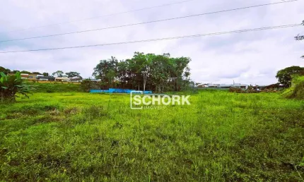 Terreno à venda, 4182 m² por R$ 1.380.000,00 - Carijós - Indaial/SC