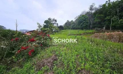 Terreno à venda, 5655 m² por r$ 1.460.000,00 - rio morto - indaial/sc