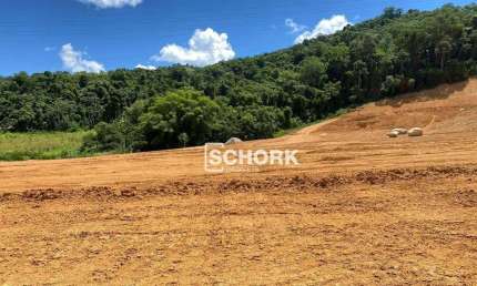 Terreno à venda, 2132 m² por R$ 773.726,42 - Estradinha - Indaial/SC