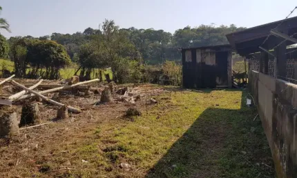 Terreno para alugar, 700 m² por r$ 1.100,00/mês - itoupava central - blumenau/sc