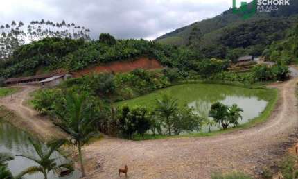 Sítio com 3 dormitórios à venda, 43700 m² por R$ 800.000,00 - Zona Rural - Massaranduba/SC