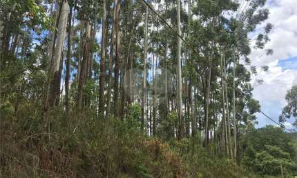 Terreno à venda na Rodovia Presidente Tancredo de Almeida Neves, Jardim Santa Gertrudes, Jundiaí