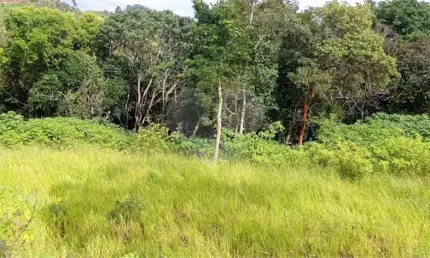 Terreno à venda na Dos Manacas, Maracanã, Jarinu