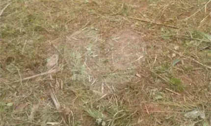 Terreno à venda na Paschoal Gimene, Sítio São José, Várzea Paulista