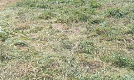 Terreno à venda na Municipal Fazenda Santana, Bosque, Vinhedo