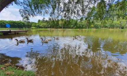 Terreno em condomínio fechado à venda na Itália, Parque Amarylis, Itupeva