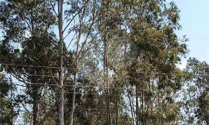 Terreno à venda na Municipal Luciano Rocha Peçanha, Cachoeira, Atibaia