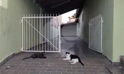 Casa com 5 quartos à venda em Jardim Guanciale - SP