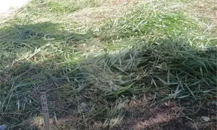 Terreno à venda na Telma Cristina Vertuan, Jardim Vale Verde, Jundiaí