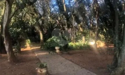 Casa com 3 quartos para alugar na Desembargador Luiz Carlos De Araújo, Pinhal, Cabreúva