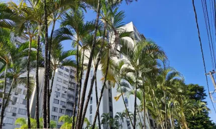 Apartamento com 3 dormitórios à venda, 78 m² por r$ 480.000,00 - américa - joinville/sc
