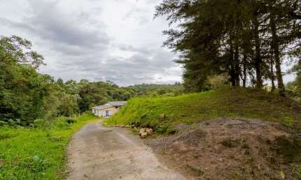 Chácara à venda, 12 mil m² por R$ 350.000 - Colônia Marcelino - São José dos Pinhais/PR