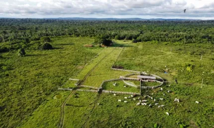 Fazenda à venda na 60KM, 001, Zona Rural, Paranaitá, 49550000 m2 por R$ 40.000.000