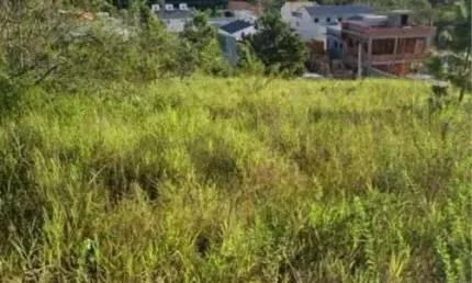 Terreno à venda na Rua Pedro Joaquim De Sousa, Potecas, São José