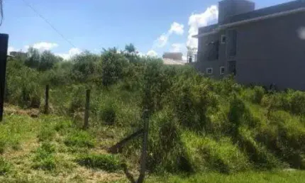 Terreno à venda na Rua Francelina Domingos de Jesus, Roçado, São José