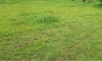 Terreno à venda, 332 m² por r$ 3.984.000,00  - vila operária - itajaí/sc