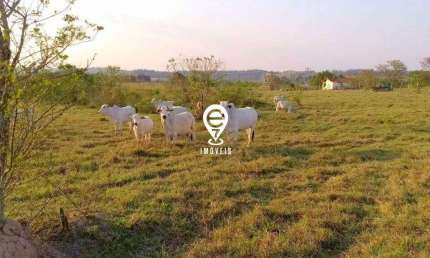 Terreno com 10 alqueires ou 250.000 m2, em área rural, pronto para construção de condomínio ou loteamento!
