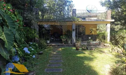 Vendo Chácara em Theodoro com 3 quartos, 1 suíte e 5 mil mts² de terreno.