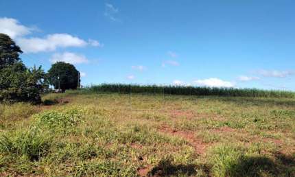 Chácara / sítio à venda na Sitio São José, sn, Palmeiras, Holambra