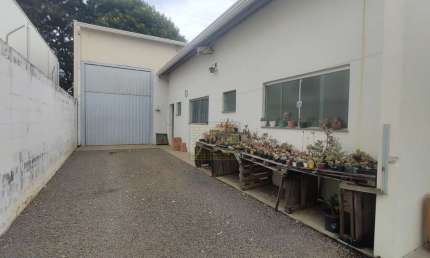 Conj. Comercial / Sala no Girassois de Holanda em Holambra