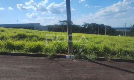 Terreno à venda no bairro loteamento jardim vista alegre em são carlos