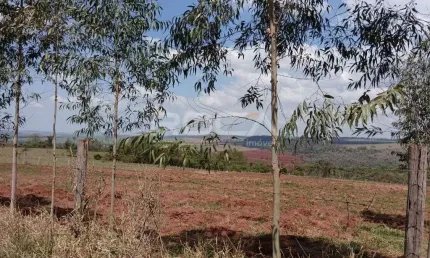 Oportunidade única! Sítio à venda no Distrito de Santa Eudoxia, São Carlos