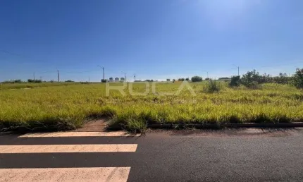 Terreno à venda no bairro salto do monjolinho, são carlos - oportunidade única!
