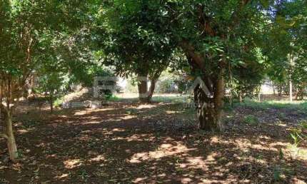 Terreno à venda na Vila Prado, São Carlos - Ótima oportunidade de investimento!