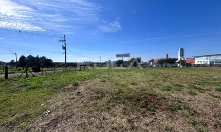 Oportunidade única! Terreno comercial à venda na Vila Pureza, São Carlos.
