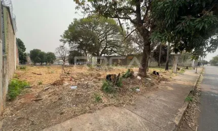 Terreno à venda no bairro jardim paulista, são carlos - oportunidade única!