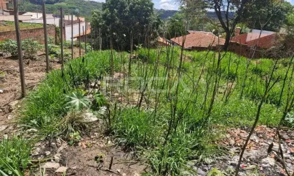 Terreno padrão à venda em são carlos - oportunidade única no bairro cidade aracy!