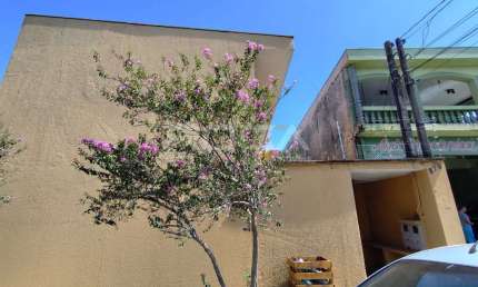 Apartamento para alugar na Vila Marina, São Carlos: aconchegante kitnet de 1 dormitório!