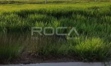 Terreno à venda no jardins do porto, são carlos - oportunidade imperdível!