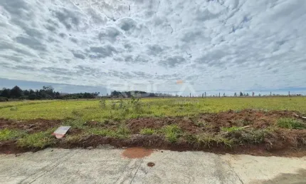 Terreno à venda no jardim letícia, são carlos: excelente oportunidade para construir!