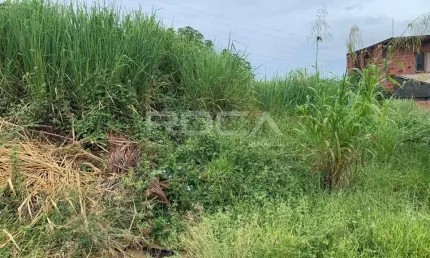 Terreno à venda no jardim das torres em são carlos: excelente oportunidade!