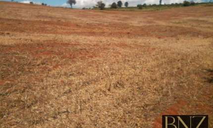 Chácara / sítio à venda no Ribeirão Bonito, Grandes Rios 