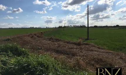 Sítio para plantio à venda próximo a cidade de Arapongas-Pr.