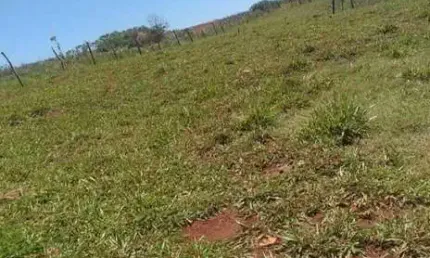 Chácara / sítio com 2 quartos à venda na Área Rural de Arapongas, Arapongas 