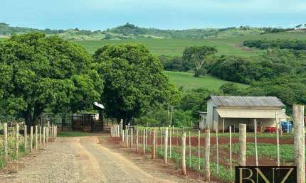 Chácara / sítio à venda na Zona Rural, Primeiro de Maio 