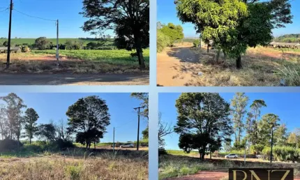 Terreno à Venda - Excelente Localização e Ótimo Preço!