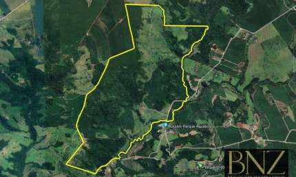 Fazenda à Venda em Sabáudia-PR, próximo ao Molipark