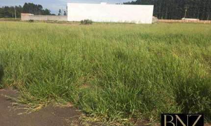 Chácara / sítio à venda no Jardim Ana Eliza, Sabáudia 