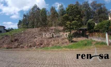 Terreno, Nossa Senhora da Saúde, Caxias do Sul - 7943
